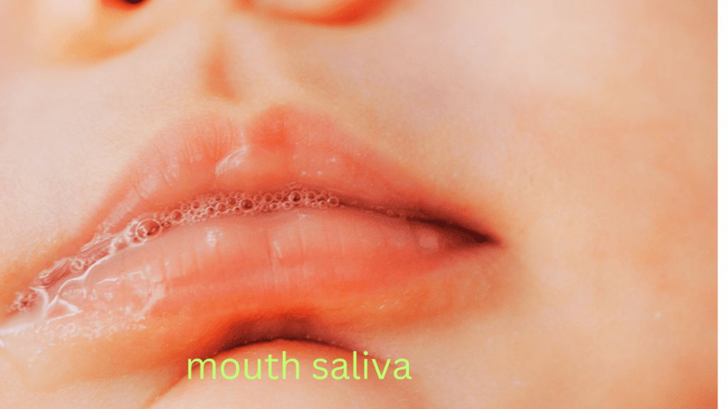 Beyond Chewing: How Saliva Plays a Vital Role in Food Digestion
